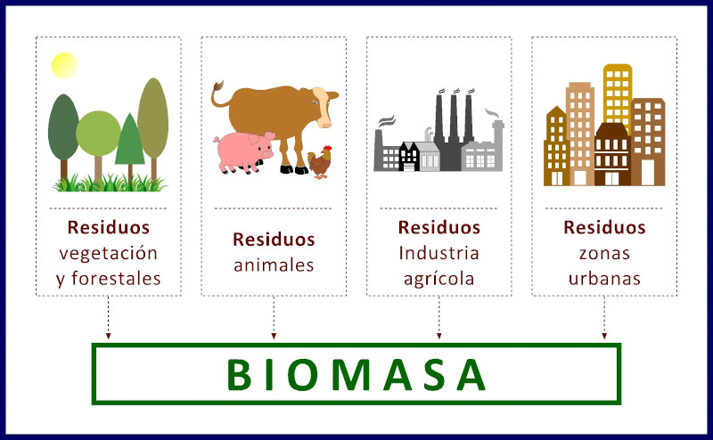 Qué es la energía biomasa: Qué son las energías biomasa en física: ¿Cómo se utiliza la biomasa para producir energía? ¿Cómo es el proceso de la biomasa? Ejemplo de qué es energía biomasa.