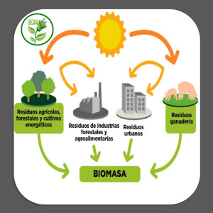 Qué es la energía biomasa. ¿Cuál es el uso de la biomasa? ¿Cómo se utiliza la biomasa para producir energía? ¿Que utiliza la central biomasa? ¿Cómo utilizar la biomasa en el hogar? ¿Qué es la biomasa y cuál es la utilización que se hace de ella en gran número de países? ¿Qué tipo de fuente de energía es la biomasa? ¿Cómo es el proceso de la biomasa?